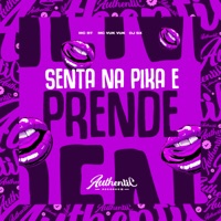 Senta na Pika e Prende (feat. Mc Vuk Vuk & Mc BT) - Single - DJ SX