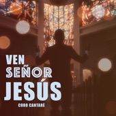 Ven Señor Jesús artwork