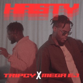Your Place Tripcy & Mega EJ