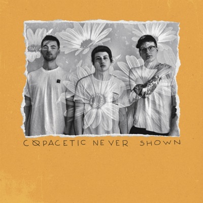 Never Shown - Single