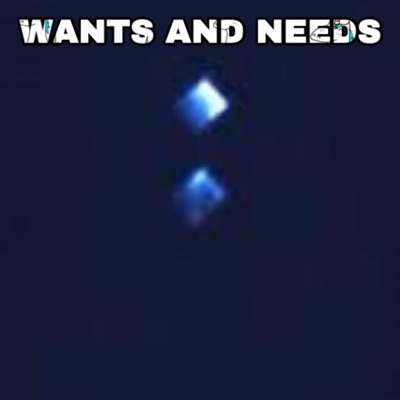 Wants and Needs - Single