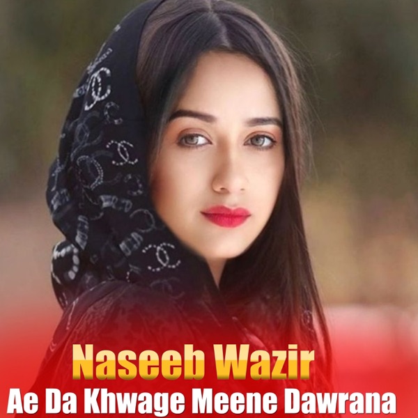 Ae Da Khwage Meene Dawrana