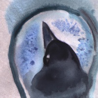 Варона - Single - Константин Морев