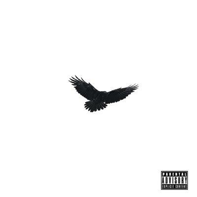 Raven (feat. Elle) - Single