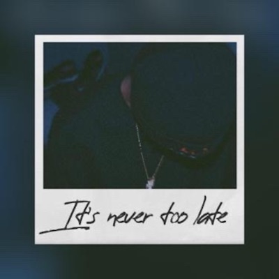 It's Never Too Late - Single