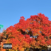 Avenue - Single - Leem