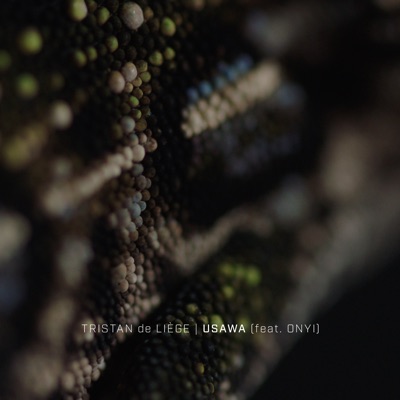 Usawa - Single