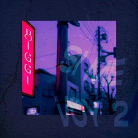 Si Me Voy 2 Biggi & Jart