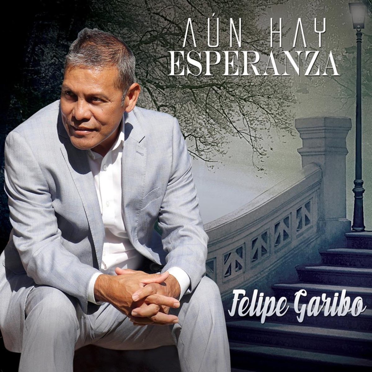 Aún Hay Esperanza” álbum De Felipe Garibo En Apple Music