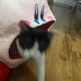 back and forth (feat. Mo$h) Taiwan