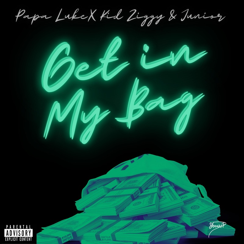 Get in my Bag (feat. Kid Ziggy, Papa Luke & Junior Pasare) - Single