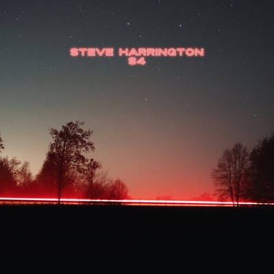 Steve Harrington S4 - Single