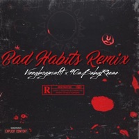 Bad Habits Remix (feat. 90sbabyreese) - Single - Vinnyboymisfit