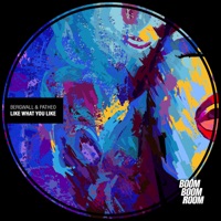 Like What You Like - Single - Bergwall & Patheo