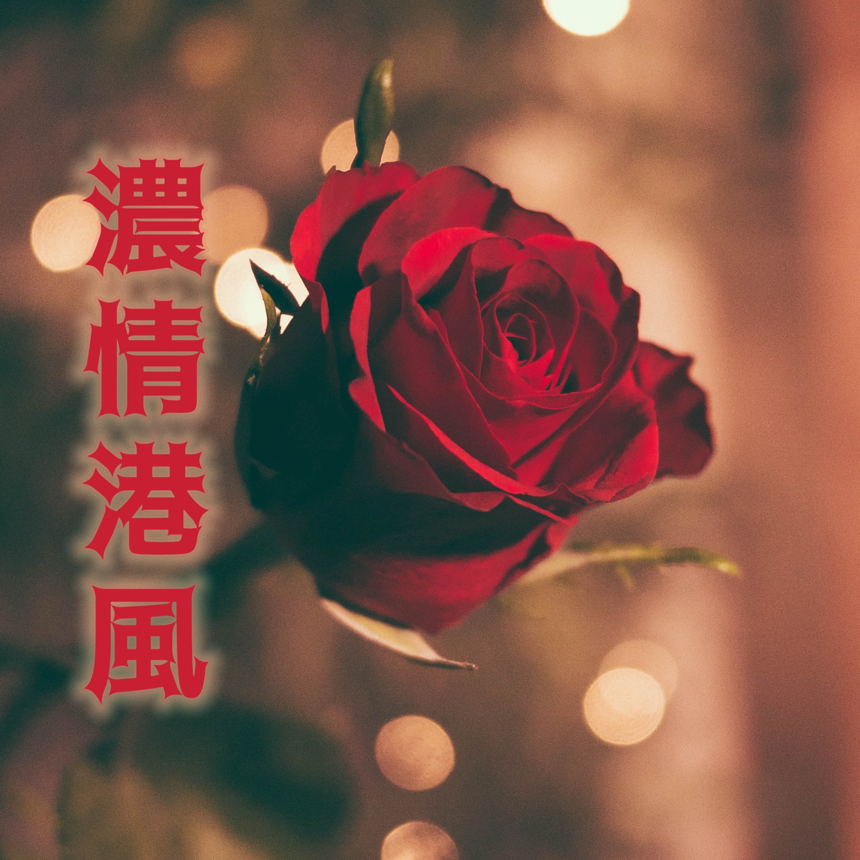 金素梅 - 多情