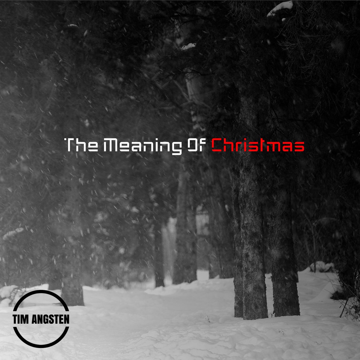 the-meaning-of-christmas-album-by-tim-angsten-apple-music