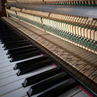 Strolling Through the Rain - Single - Peter Plate, Frederick & Fischer & Damian Omansen