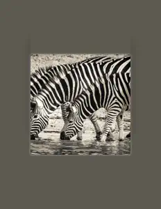 Brynn Owen을(를) 듣고, 뮤직 비디오를 보고, 약력을 읽고, 투어 일정 등을 확인하세요!