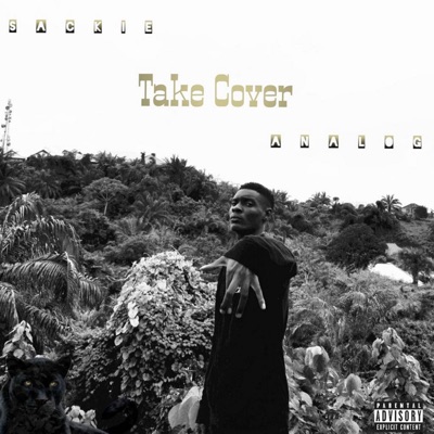 Take Cover - Single