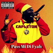 Pass Mi Di Fyah (Gen Z) artwork