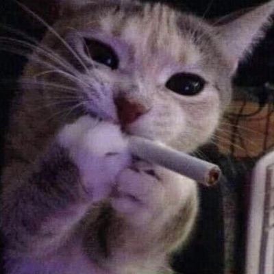 Disi.exe??? - Single