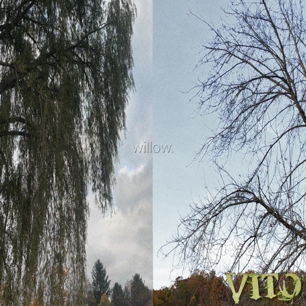 Willow