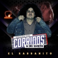 Corridos A Mi Gusto - El Rabbanito