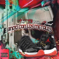 ANDO CON LOS METALES (feat. Geeflowcl) - Single - The Barrio Oficial