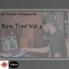 Raw Trax Vol #3 - EP