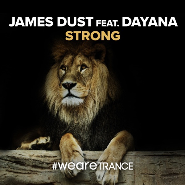 Strong (feat. Dayana) - Single