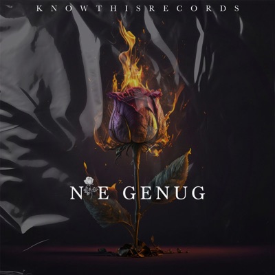 Nie Genug (feat. Miro) - Single