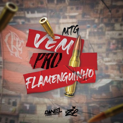 Vem Pro Flamenguinho / Quer Fuder Com os Sem Amor (feat. DJ ZL) - Single