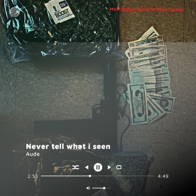 Never Tell What I Seen - Single
