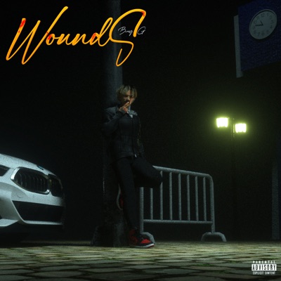 FAKE LOVE (feat. Baebibetti, Tobii & Tobii x Baebibetti) [From "Wounds"] - Single