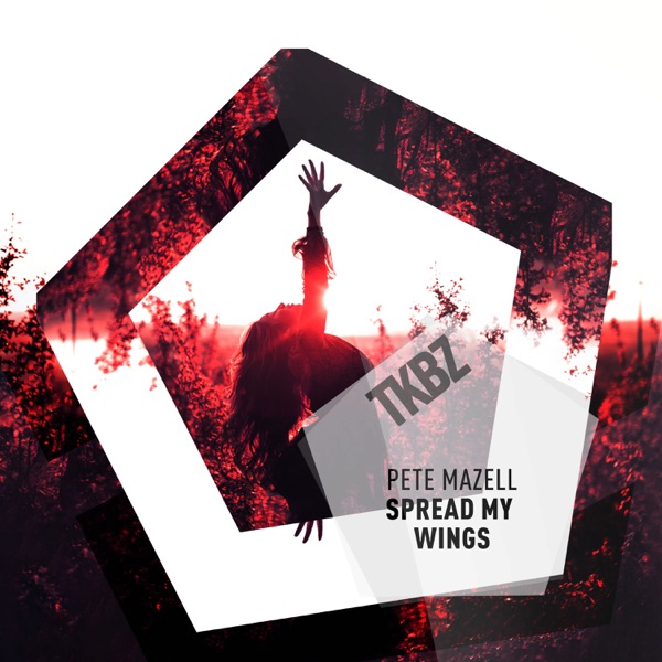 Spread My Wings - Single