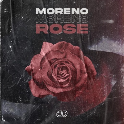 Rose - Single