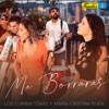 Me Borrarás - Single