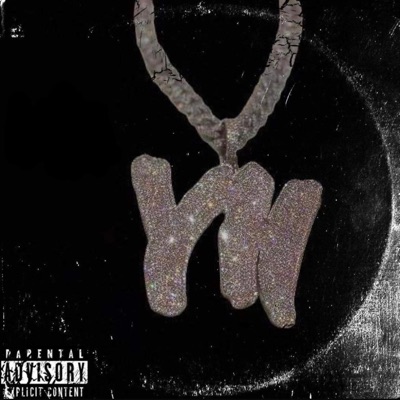 Nutzo levels to me (feat. Darnell Bentley) - Single