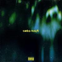 Cursed Reality - Single - B Murph