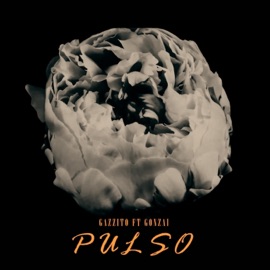 Pulso (feat. Gonzai) Gazzito