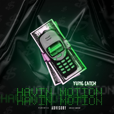 Havin Motion - Single