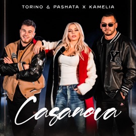 Casanova Torino, Pashata & Камелия