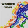 Wonder Year - Single