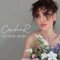 Sen Değil Miydin? - Single - Cevher