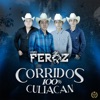 Corridos 100% Culiacán - Single