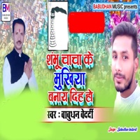 Shambhu Chacha Ke Mukhiya Banay Dih Ho - Single - Babudhan Bedardi