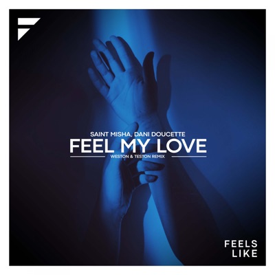 Feel My Love (Weston & Teston Extended Remix) - Single