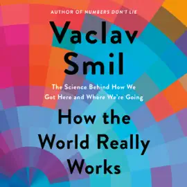 How the World Really Works: The Science Behind How We Got Here and Where We're Going (Unabridged)