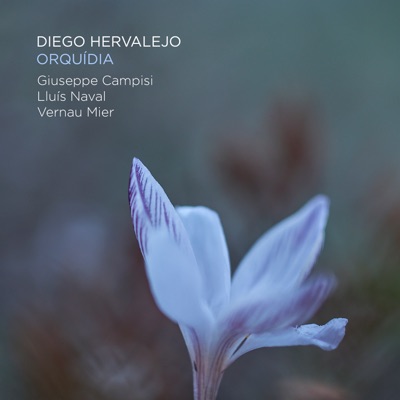 Orquídia (feat. Giuseppe Campisi & Lluís Naval) - EP