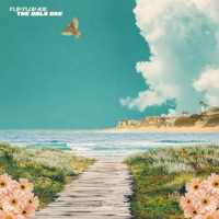 The Only One - Single - Flip Flop Joe